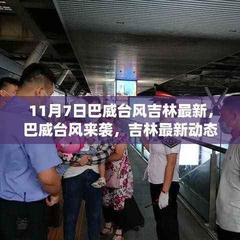 巴威台风来袭吉林,最新动态与应对指南(11月7日更新)
