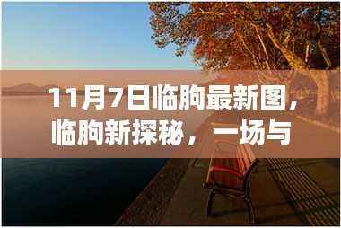 临朐秋日新探秘,与自然美景的邂逅时光(11月7日最新图片)