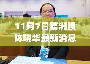 葛洲坝陈晓华最新动态及重磅消息聚焦(11月7日更新)