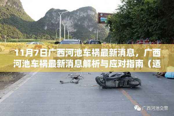 广西河池车祸最新消息解析与应对指南,11月7日车祸更新及初学者进阶指南