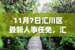 汇川区人事任免动态，深度解读最新人事调整及影响