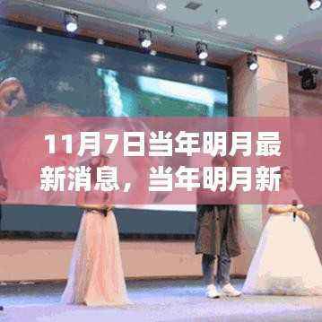 当年明月最新动态,11月7日的讯息与影响揭秘