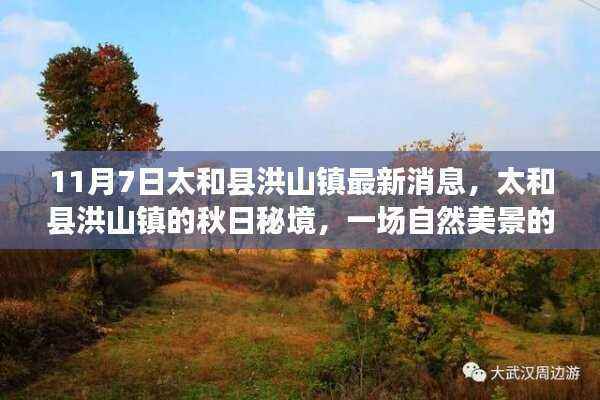 太和县洪山镇秋日秘境探索之旅,自然美景的最新消息