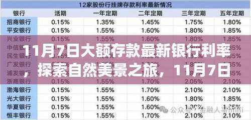 11月7日大额存款利率更新,探索最佳银行利率,心灵与自然之旅的宁静平和探索