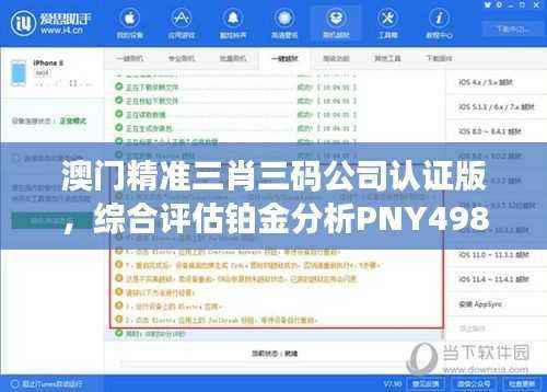 澳门精准三肖三码公司认证版,综合评估铂金分析PNY498.96