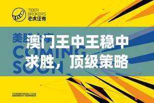澳门王中王稳中求胜,顶级策略解析——大师版TJS160.64安全攻略