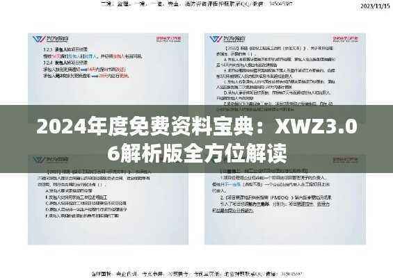 2024年度免费资料宝典:XWZ3.06解析版全方位解读