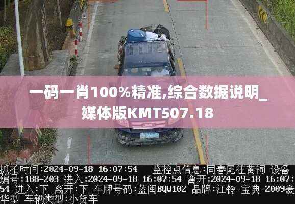 一码一肖100%精准,综合数据说明_媒体版KMT507.18