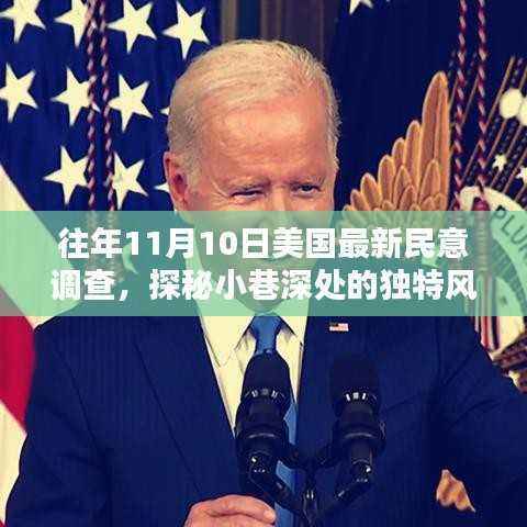 探秘民意背后的独特风味,美国隐藏小巷深处的特色小店揭秘