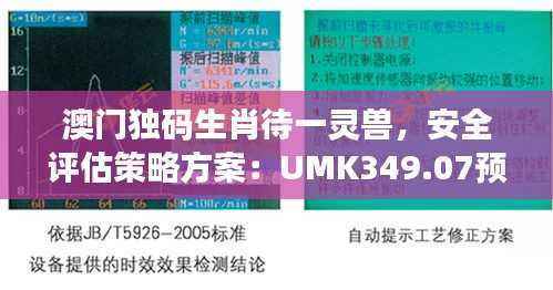 澳门独码生肖待一灵兽，安全评估策略方案：UMK349.07预测版