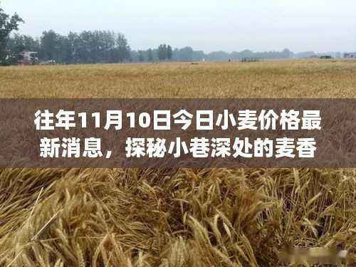 探秘小巷深处的麦香秘境,揭秘小麦价格背后的故事——最新小麦价格行情分析(日期,往年11月10日)