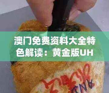 澳门免费资料大全特色解读:黄金版UHM481.44规则详解