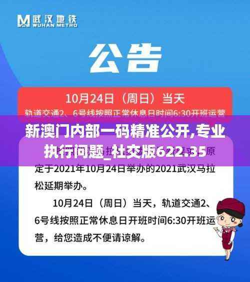 新澳门内部一码精准公开,专业执行问题_社交版622.35