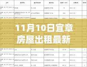 11月10日宜章房屋出租最新动态及热门房源租赁指南