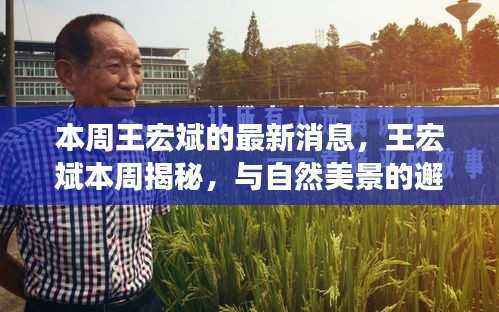 王宏斌本周揭秘,自然美景中的心灵之旅与内心平和的寻找