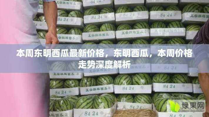 东明西瓜最新价格动态及本周价格走势深度解析
