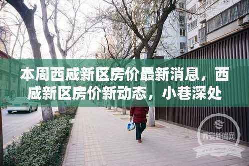 西咸新区房价动态更新与小巷风情探秘