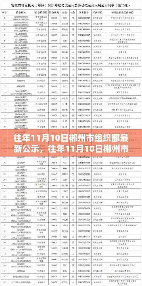 郴州市组织部公示系统评测及特性分析,目标用户的体验与目标洞察报告