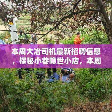 本周大冶司机最新招聘信息及小巷隐世小店探秘，领略独特环境魅力！