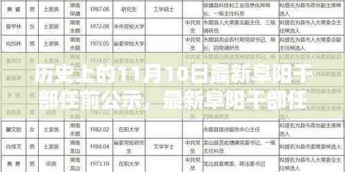 历史上的11月10日阜阳干部任前公示流程详解及指南