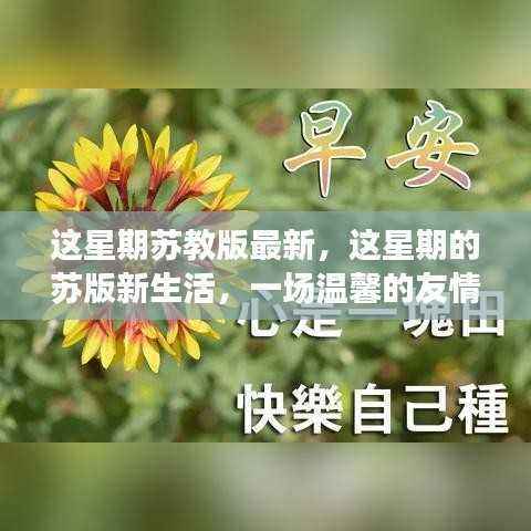 本周苏教版最新内容,一场温馨的友情之旅启程——新苏版生活记录友情的美好瞬间