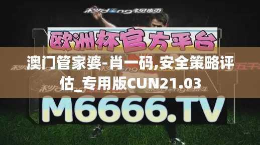 澳门管家婆-肖一码,安全策略评估_专用版CUN21.03