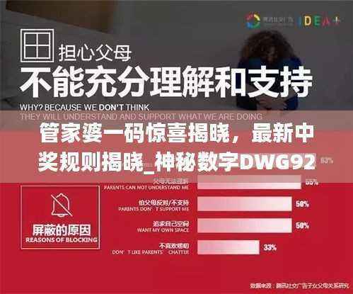 管家婆一码惊喜揭晓,最新中奖规则揭晓_神秘数字DWG923.24