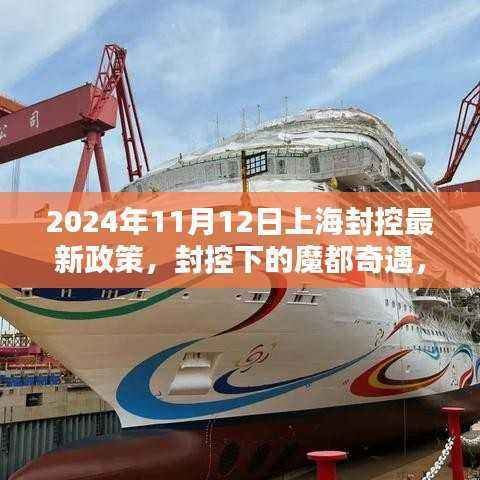 上海封控新政策下的奇遇与欢乐日常(2024年11月)