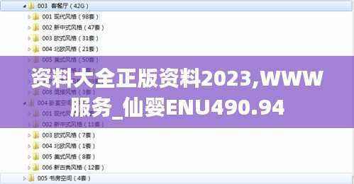 资料大全正版资料2023,WWW服务_仙婴ENU490.94