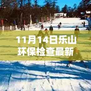 乐山环保检查最新动态,11月14日更新及操作指南