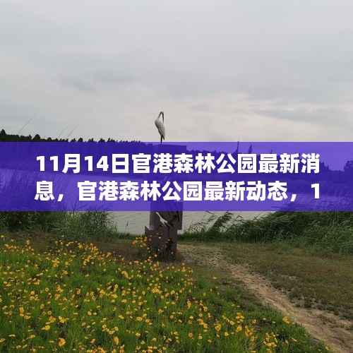 11月14日官港森林公园最新动态深度解读