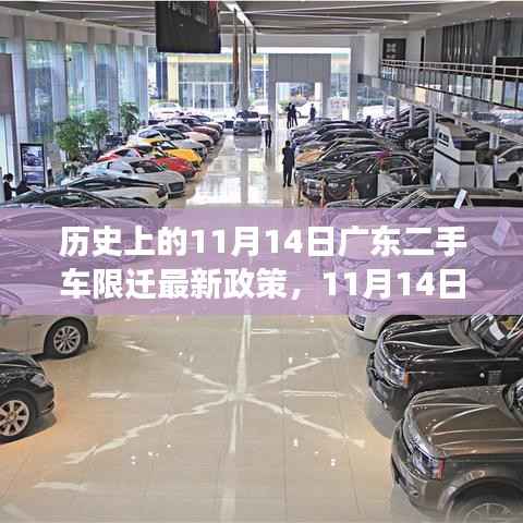 广东二手车限迁新政策下的心灵探索之旅,自然与内心的和谐融合之路