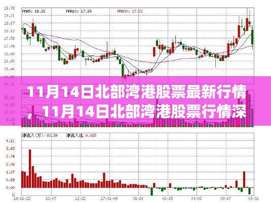 11月14日北部湾港股票行情深度解析,港口经济新动向一览