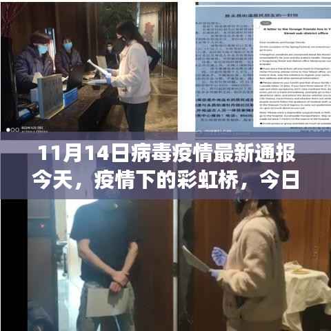 疫情下的彩虹桥,今日趣事与温情相伴的十一月十四日最新通报