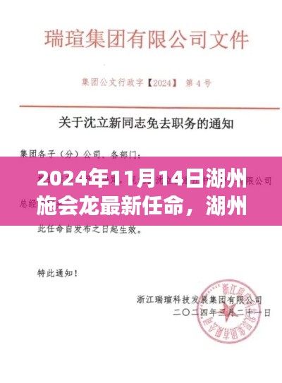 湖州施会龙最新任命流程指南,从入门到进阶(2024年11月14日)
