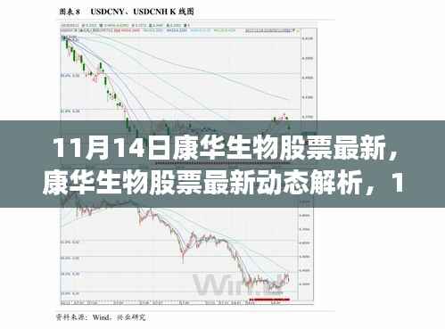康华生物股票最新动态解析,机遇与挑战并存于11月14日的市场之中