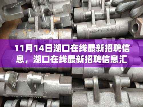 湖口在线最新招聘汇总,把握职场机会,启程未来!