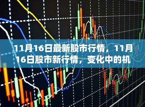 11月16日股市行情变化中的机遇,学习提升自信与成就感