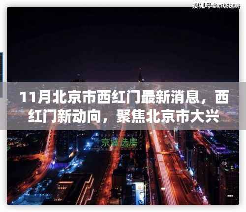 11月北京西红门最新发展动态，聚焦新动向与我的观点分析