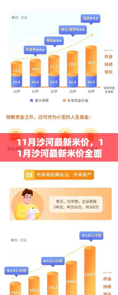 11月沙河最新米价详解,特性、体验、竞品对比及用户群体分析