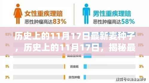 揭秘，最新麦种子神奇之旅的历史篇章（11月17日回顾）
