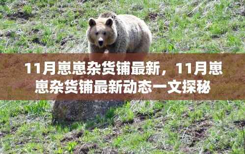 探秘11月崽崽杂货铺最新动态,最新商品一网打尽!