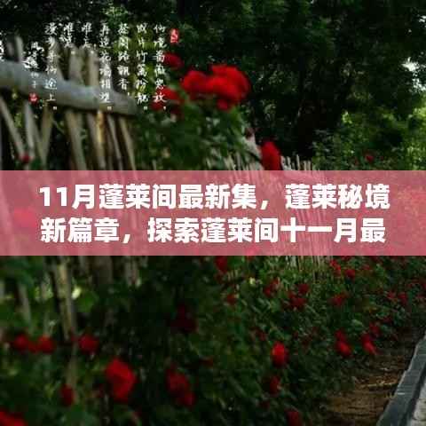蓬莱秘境新篇章揭秘,探索十一月最新集的时代意义与影响