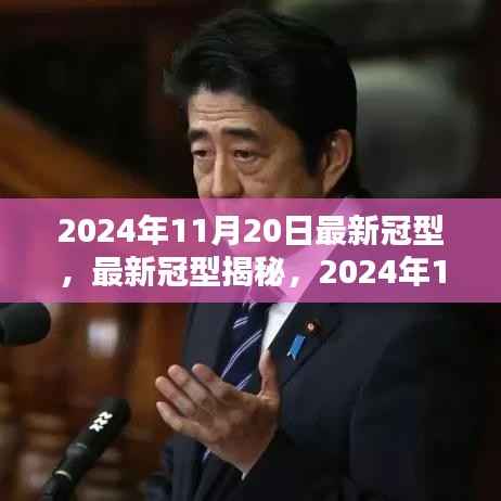 揭秘最新冠型,全球疫情动态与应对策略(2024年11月20日更新)