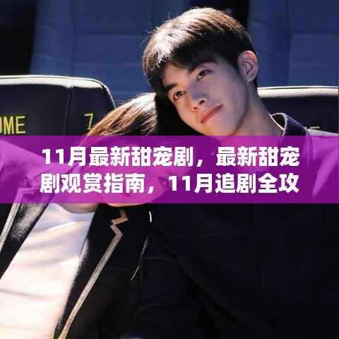11月甜宠剧全攻略,追剧指南与追爱技能轻松掌握