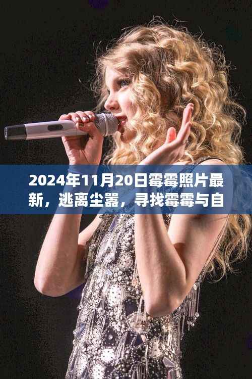 霉霉的心灵之旅,逃离尘嚣,探寻自然秘密的最新照片之旅(2024年11月20日)