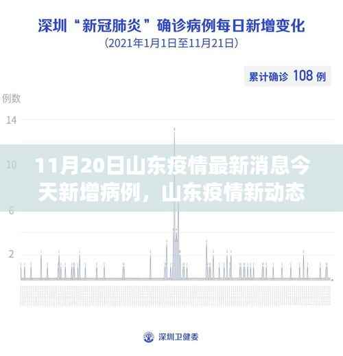 山东疫情最新动态下的隐秘小巷特色小店探索之旅,今日新增病例引发关注