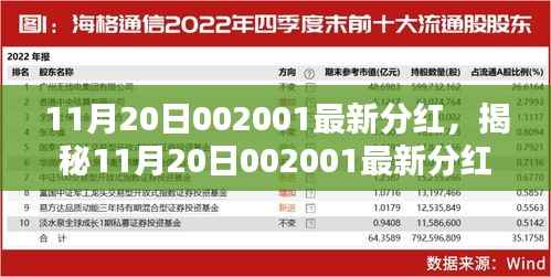揭秘,11月20日股票代码002001最新分红动态深度解析与全方位指南