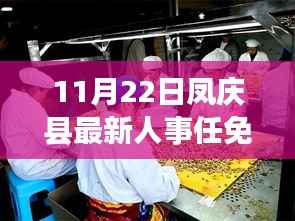 凤庆县最新人事任免动态解析(11月22日更新)