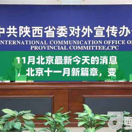 北京十一月新篇章,学习力量与自信之光的闪耀变化